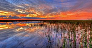 The everglades with a sunset in the background | Gunther Kia