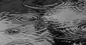 A rain puddle with drops of rain splashing in it | Gunther Kia