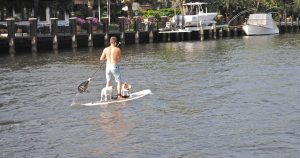 Man paddle boarding in the ocean | Gunther Kia