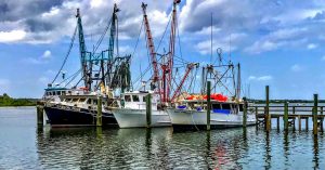 Fishing boats at a pier | Gunther Kia