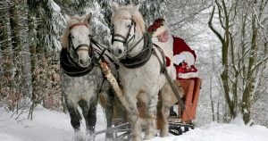 Santa in a horse driven sleigh in a snow laden forest | Gunther Kia