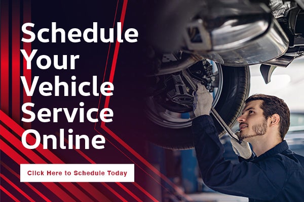 Schedule your vehicle online