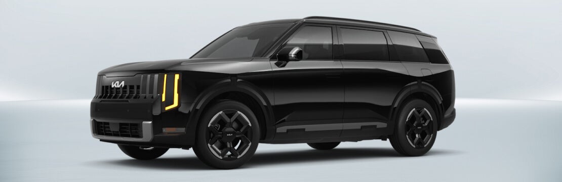 Ebony Black