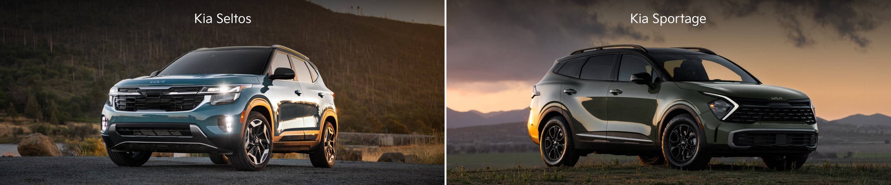 Kia Sportage vs Kia Seltos Image