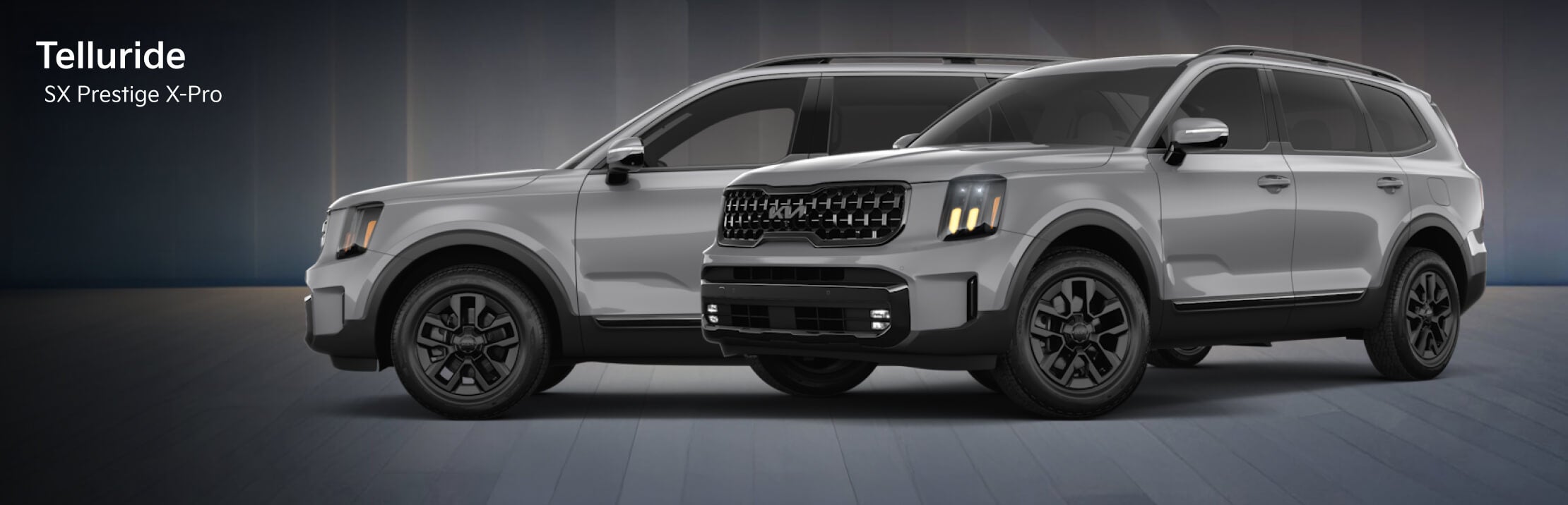 Wolf Gray Kia Telluride