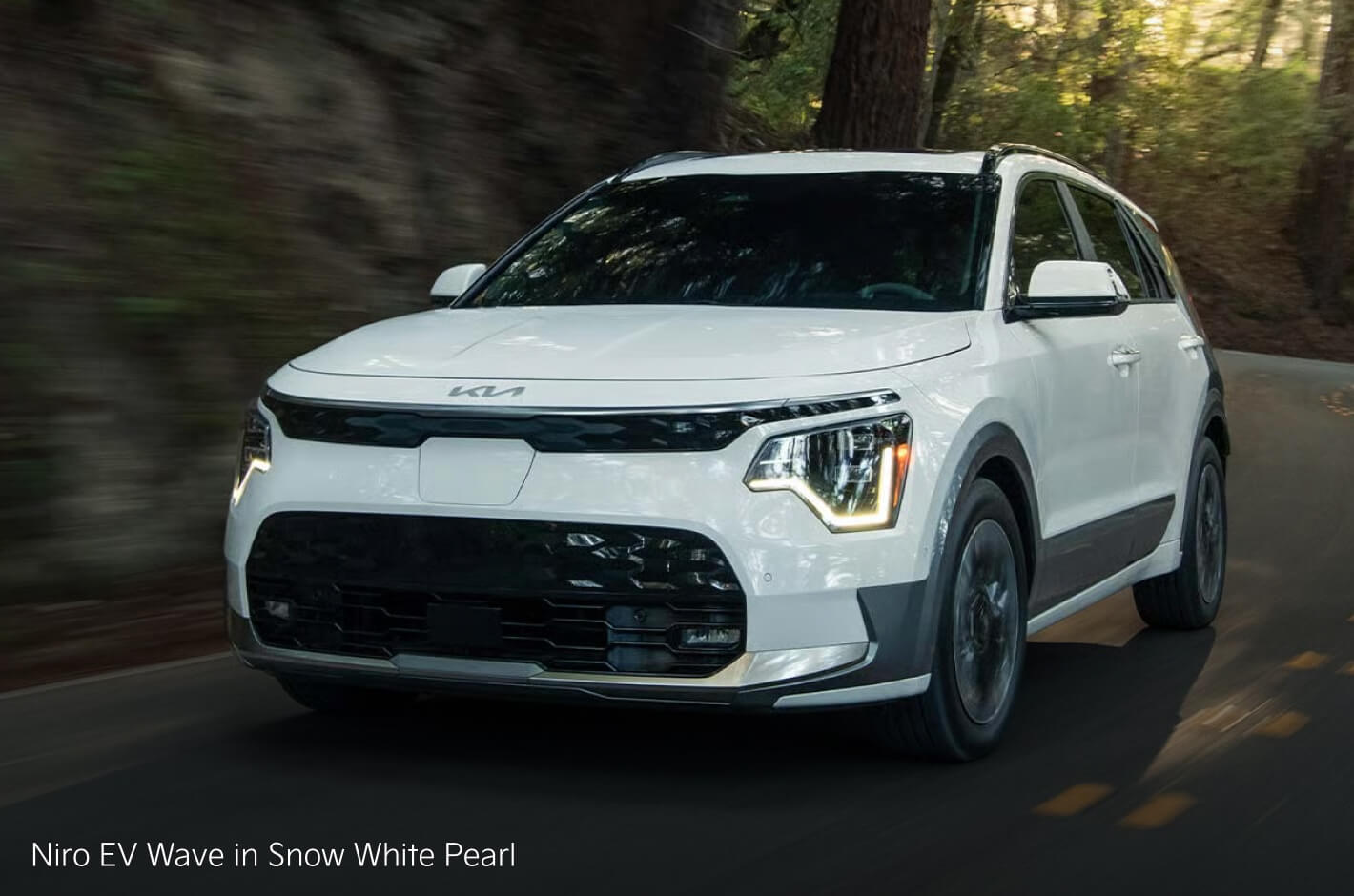 Niro EV Wave in Snow White Pearl