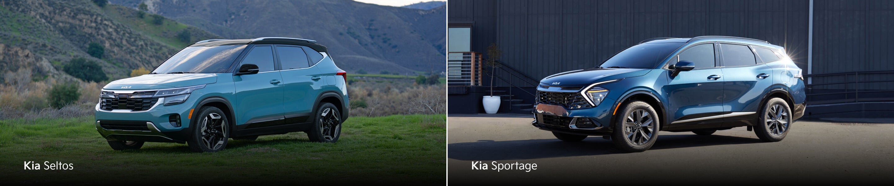 Kia Sportage vs Kia Seltos Image